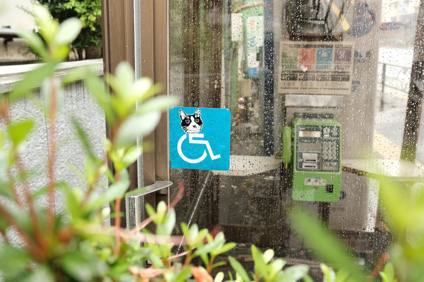 Steps to Enhance Home Accessibility for Seniors